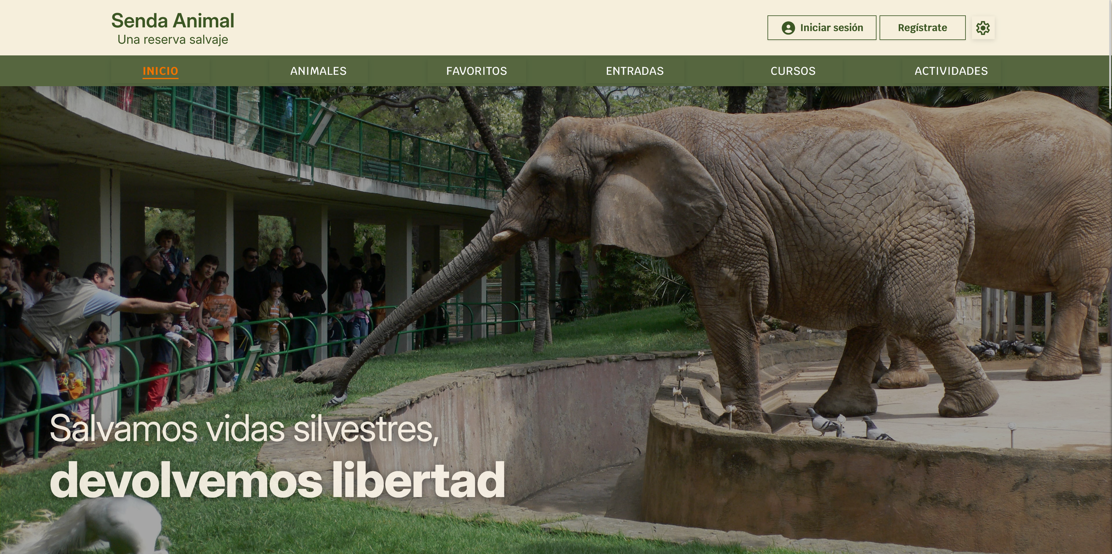 captura de aplicación 2